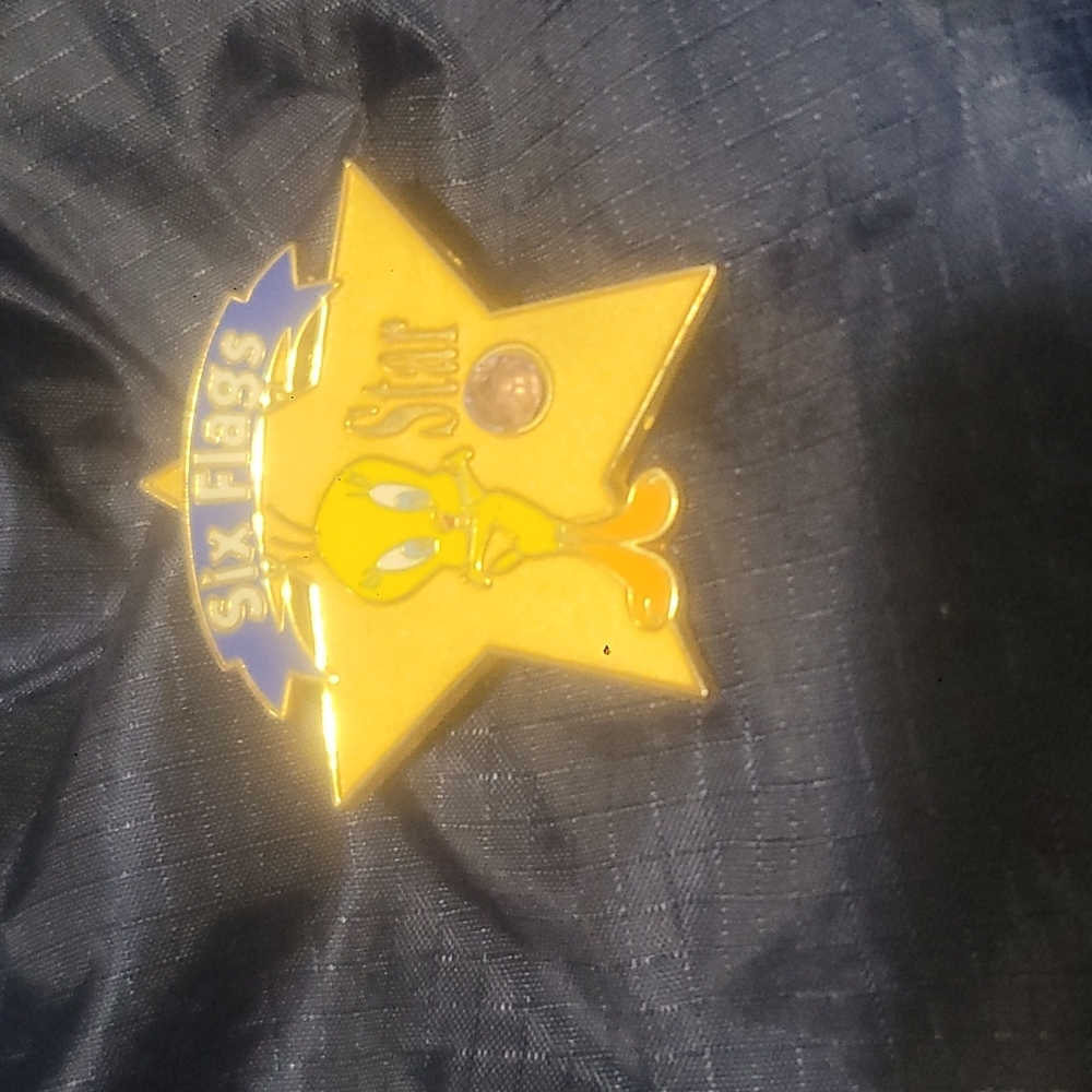 Tweety Bird six flags trading pin